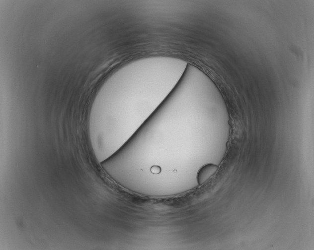 X0000115810648200911131043