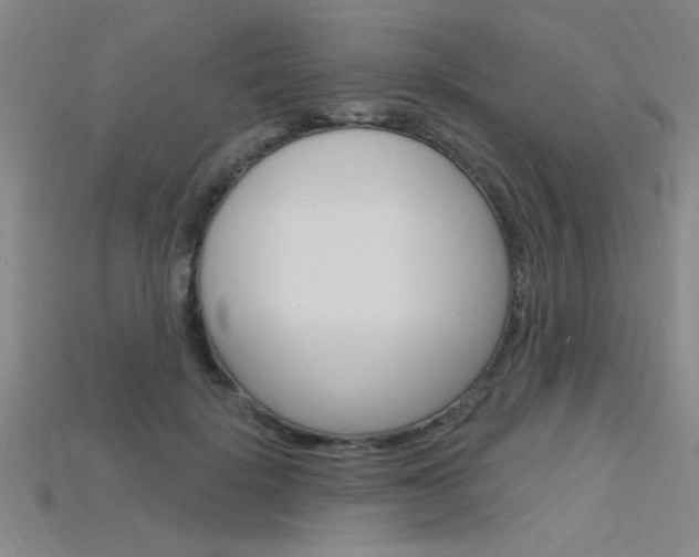 X0000115810652200911131043