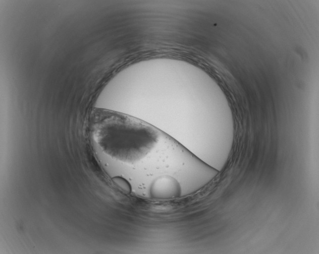 X0000115810653200911131043