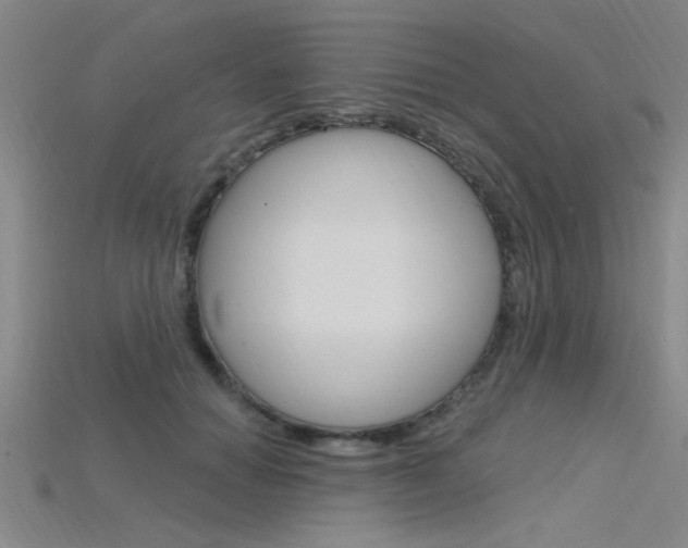 X0000115810654200911131043