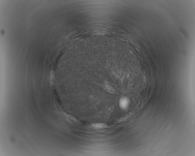 X0000115810659200911131043