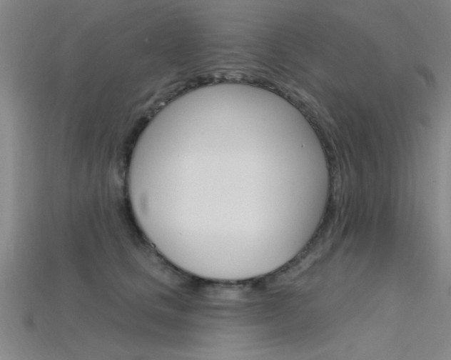 X0000115810661200911131043
