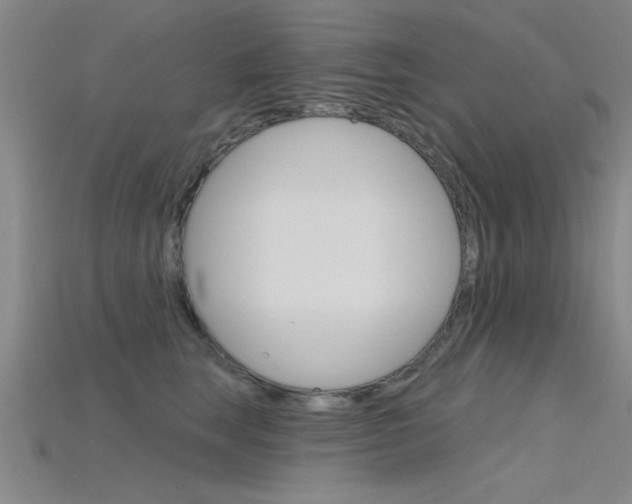 X0000115810663200911131043