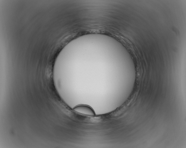 X0000115810665200911131043