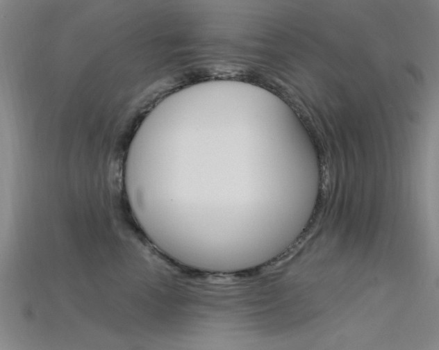 X0000115810666200911131043