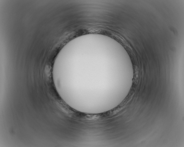 X0000115810667200911131043