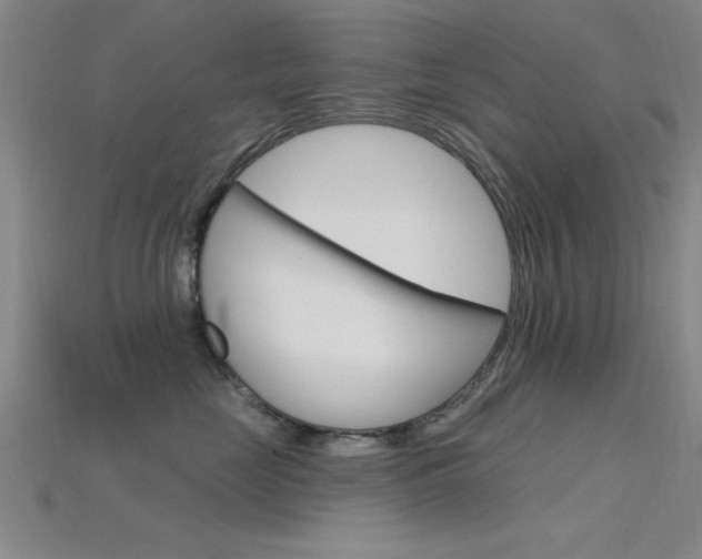 X0000115810669200911131043