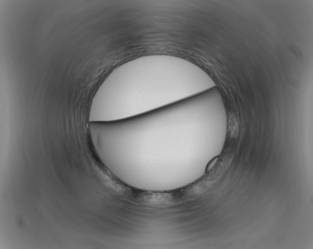 X0000115810670200911131043