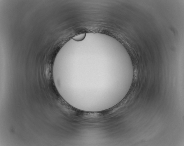 X0000115810671200911131043