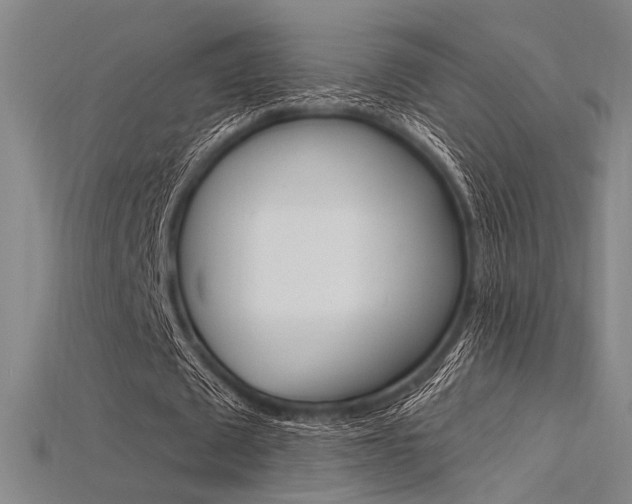 X0000115810673200911131043