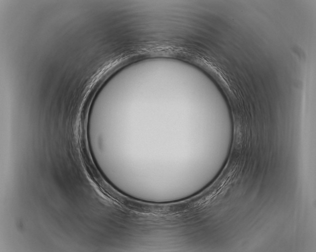 X0000115810674200911131043