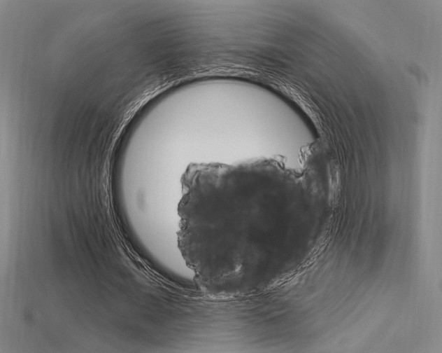 X0000115810675200911131043
