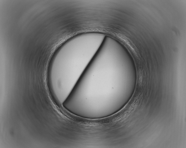 X0000115810677200911131043