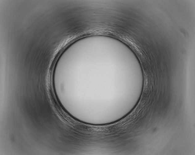 X0000115810678200911131043