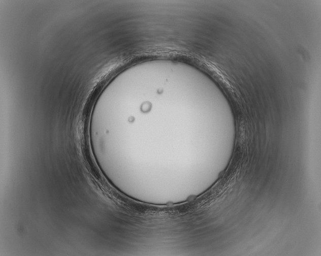 X0000115810679200911131043