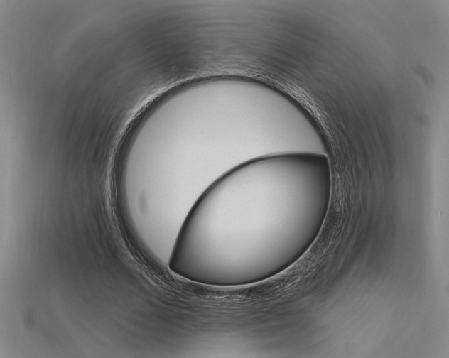 X0000115810680200911131043