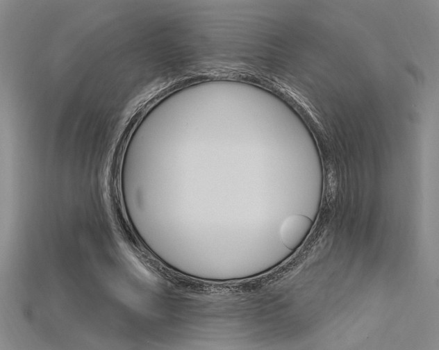 X0000115810682200911131043