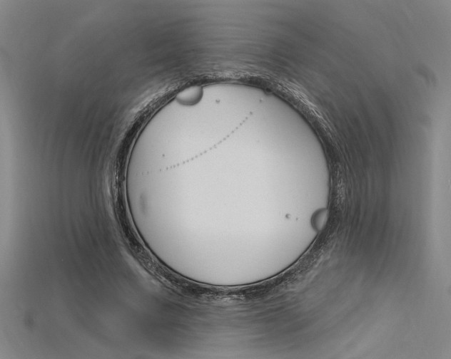 X0000115810683200911131043
