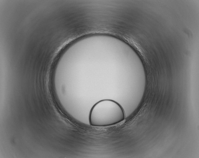 X0000115810684200911131043