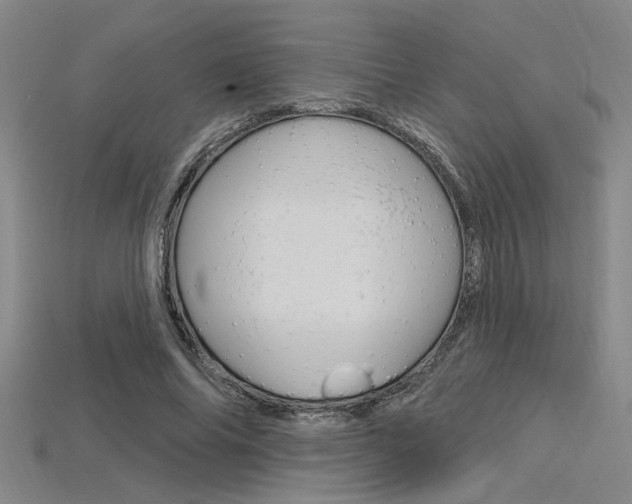 X0000115810686200911131043
