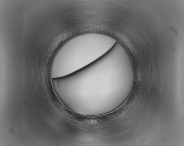 X0000115810687200911131043