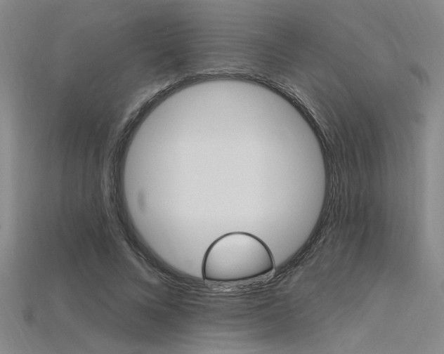 X0000115810688200911131043