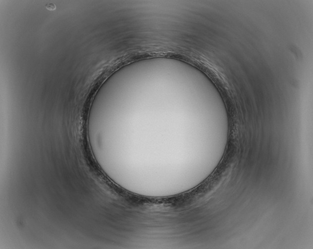 X0000115810689200911131043