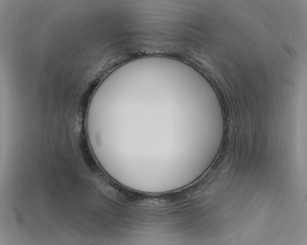X0000115810691200911131043