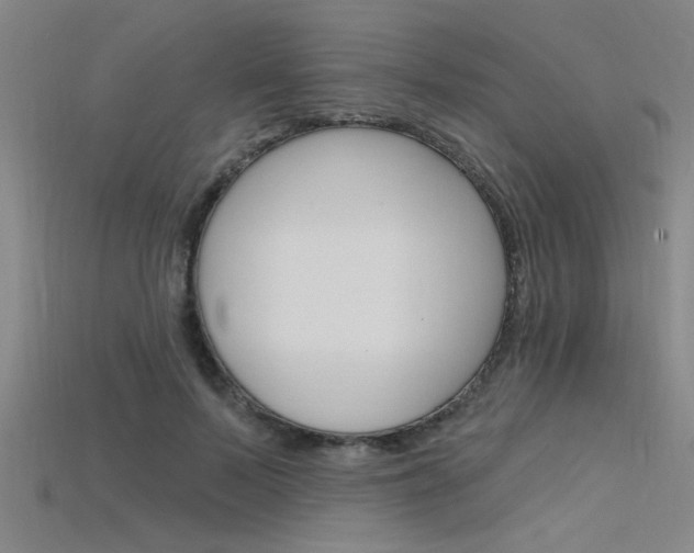 X0000115810695200911131043