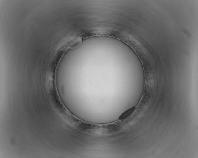 X0000115810696200911131043
