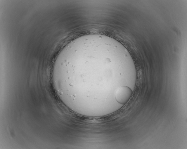 X0000115810698200911131043