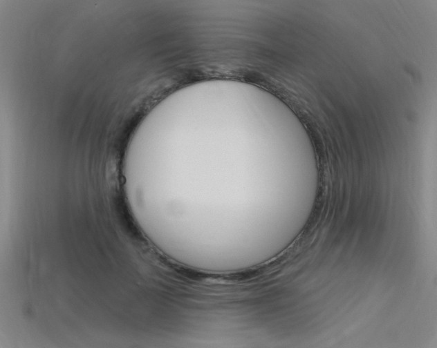 X0000115810699200911131042