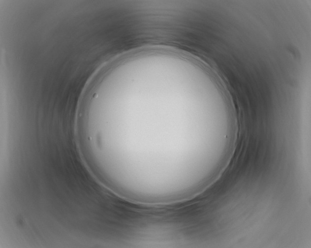 X0000115810701200911131042