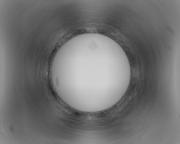 X0000115810702200911131042