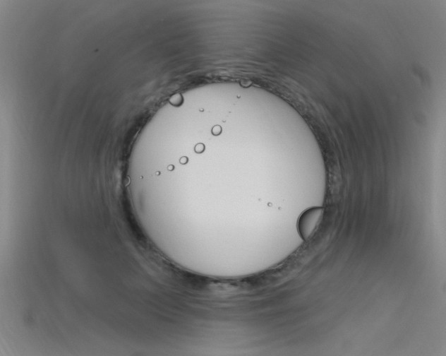 X0000115810703200911131042