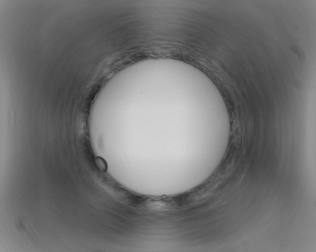 X0000115810706200911131042
