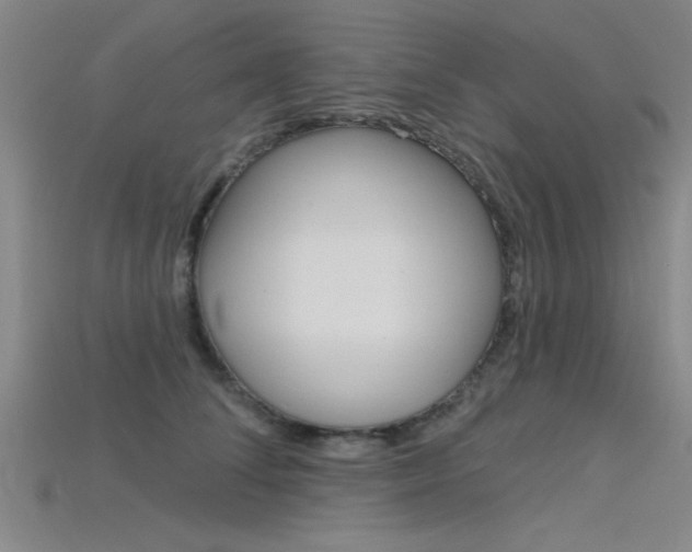 X0000115810708200911131042