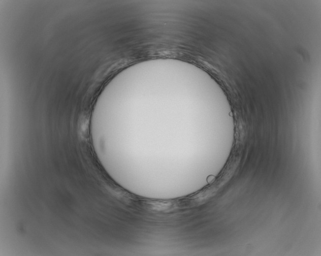 X0000115810709200911131042
