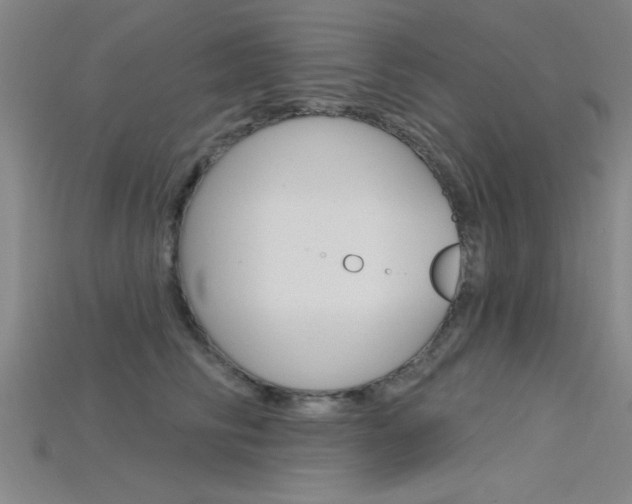 X0000115810710200911131042