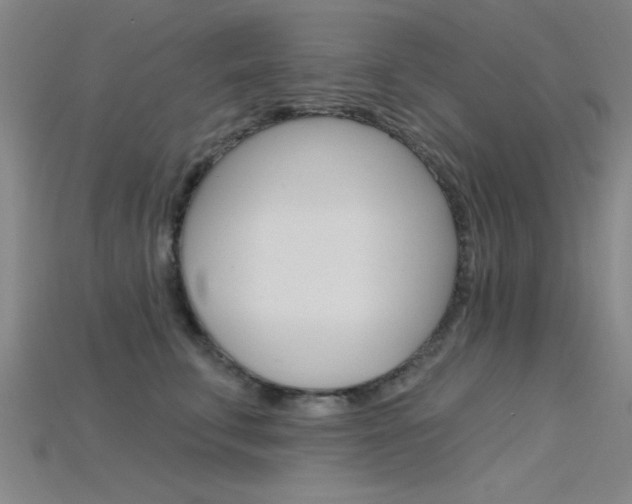 X0000115810711200911131042