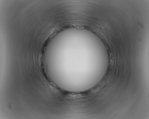 X0000115810712200911131042