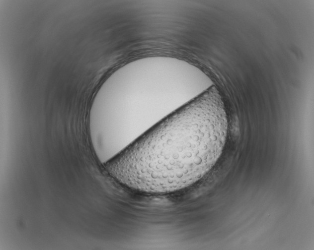 X0000115810715200911131042