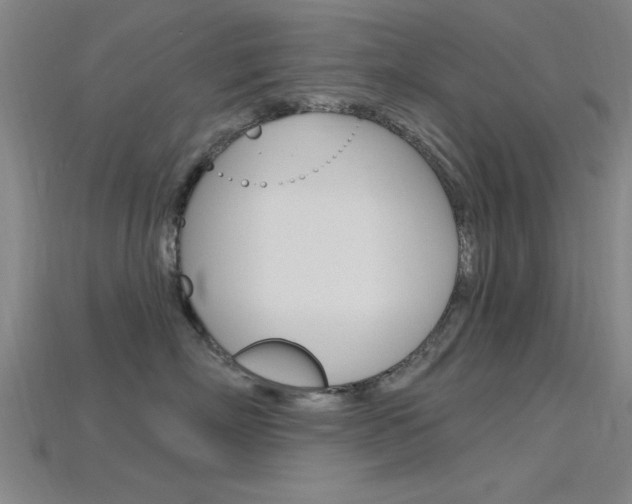 X0000115810718200911131042