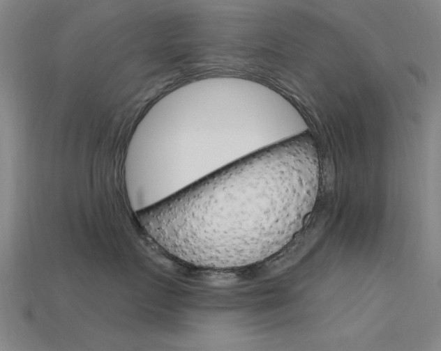 X0000115810719200911131042
