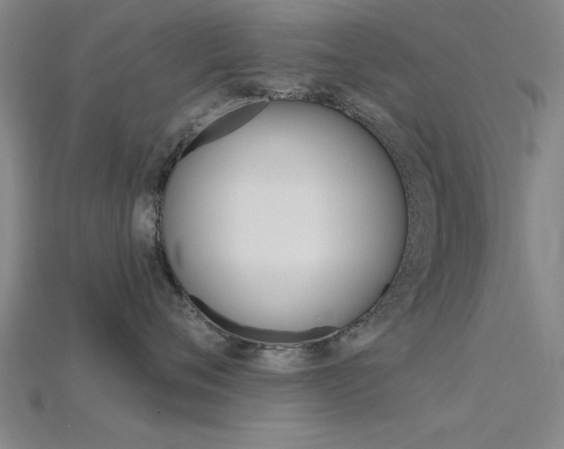 X0000115810720200911131042