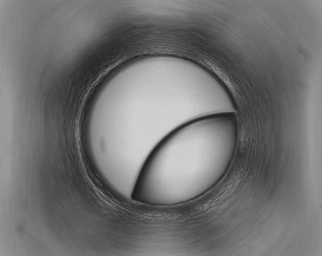 X0000115810722200911131042