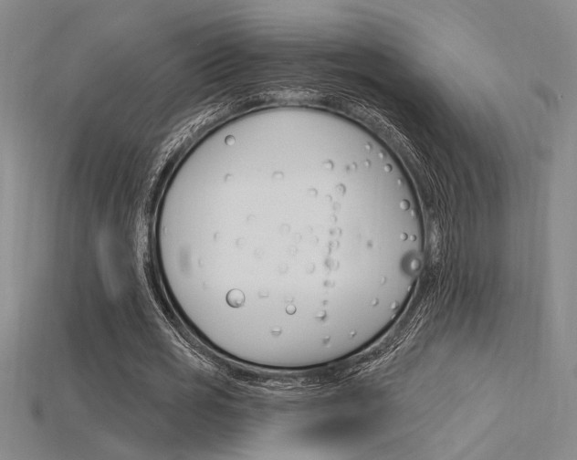 X0000115810725200911131042