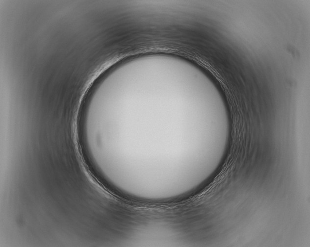 X0000115810726200911131042