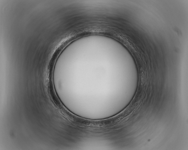 X0000115810727200911131042