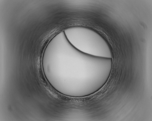 X0000115810729200911131042